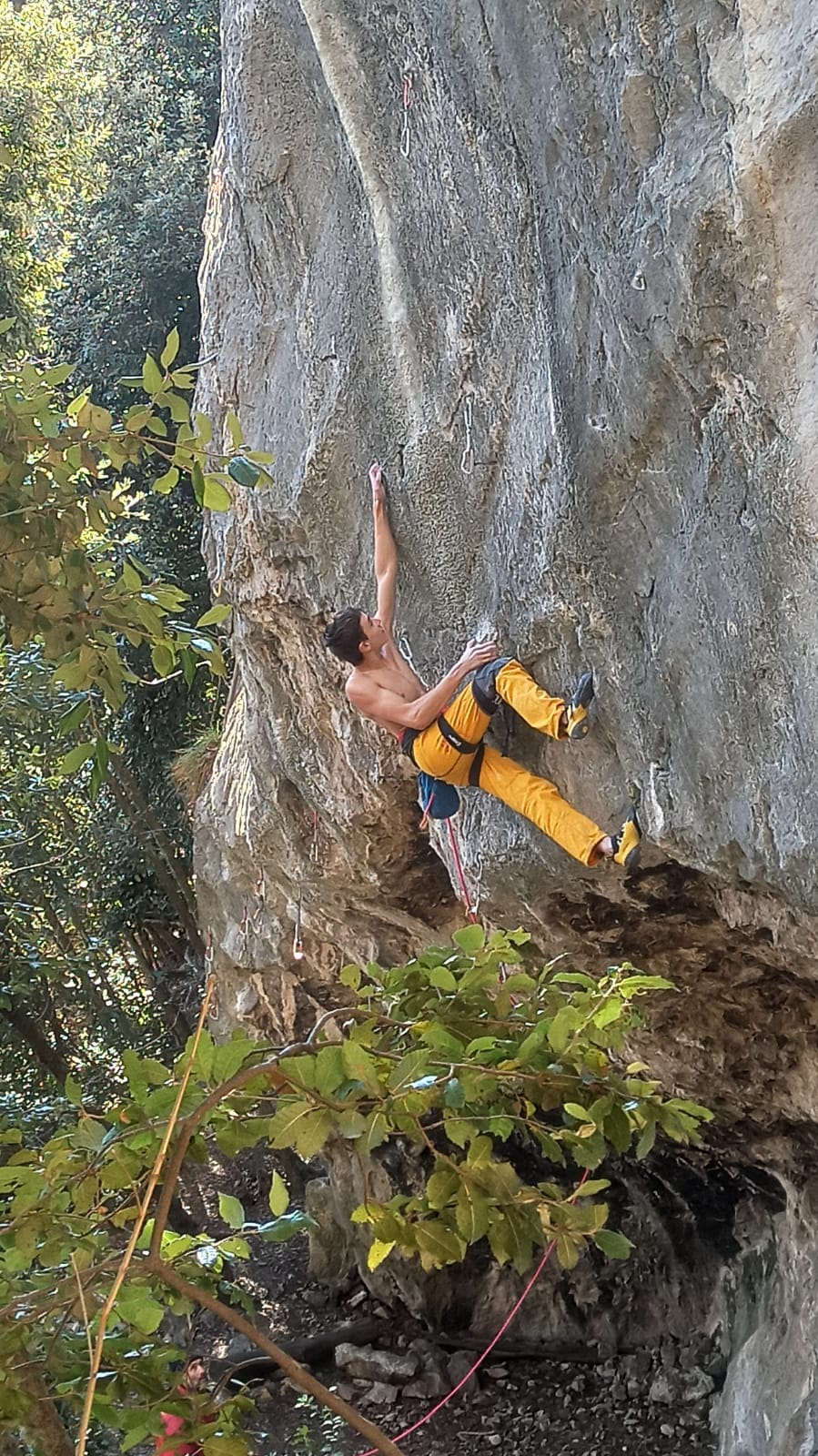 Goosfraba 8c+